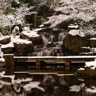 Kyoto gardens waterfall