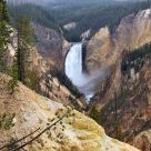 Lower Falls of Yellowstone