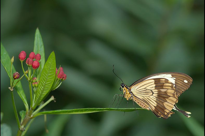 Approaching delicately