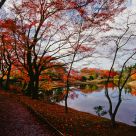 Autumn Color