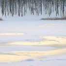Warm Ice