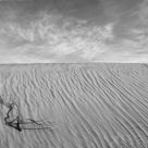 Dune Texture, Sky and Branch Shadow