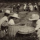Community work