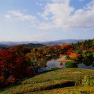 Emperor's Garden