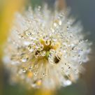 A journey with water drops