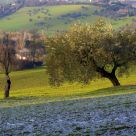 winter 2010