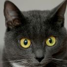 strange eyes