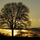 Winter sunset