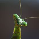 Strike A Pose