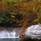 Seasonal Beauty