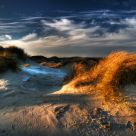 Frost, Grass And Winter sun