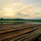 As the Sunrise Kisses the Dock