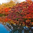 Autumn Lake