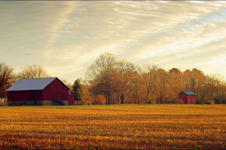 Red Barn at Sunrise