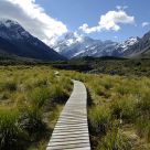 Mt Cook