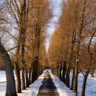 Winter Light