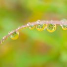 Ellipsis: a suspended prose