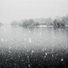 Let it Snow!