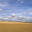 Country