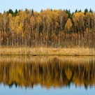 Autumn reflection