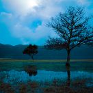 Land of Dreams