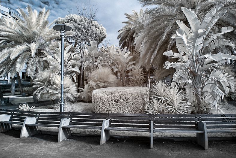 Parque Urbano en IR