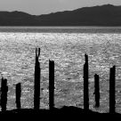 BlackMill Pier