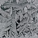 Nature's Art