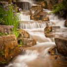 Stream of My Dreams