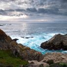 The fray at Point Lobos