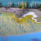 Reflection