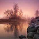 Reflective Beauty