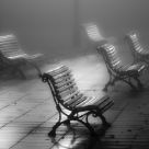 Fog