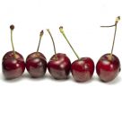 Cherries