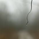 Clear Point