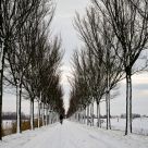 Waarland (Noord-Holland)