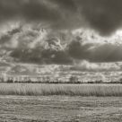 Windmill In The Reeds