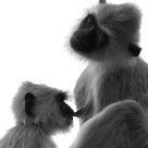 Mother and Child
