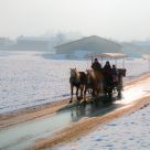 Horsecab