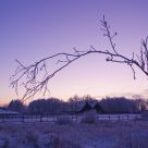colorful sunset in the winterwonderland