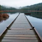 Peaceful Docking