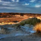 Frozen Dunes V