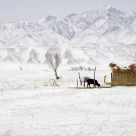 Barn in winter