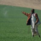 Farmer