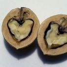 Even the hardest shell...