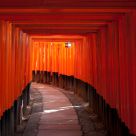 Senbon Torii