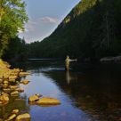 Fly Fishing