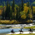 Horse Riding