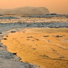 The colour of our winter