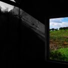A window on nature